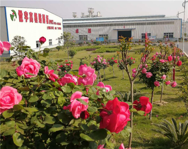 圖片9.png 圖片9.png