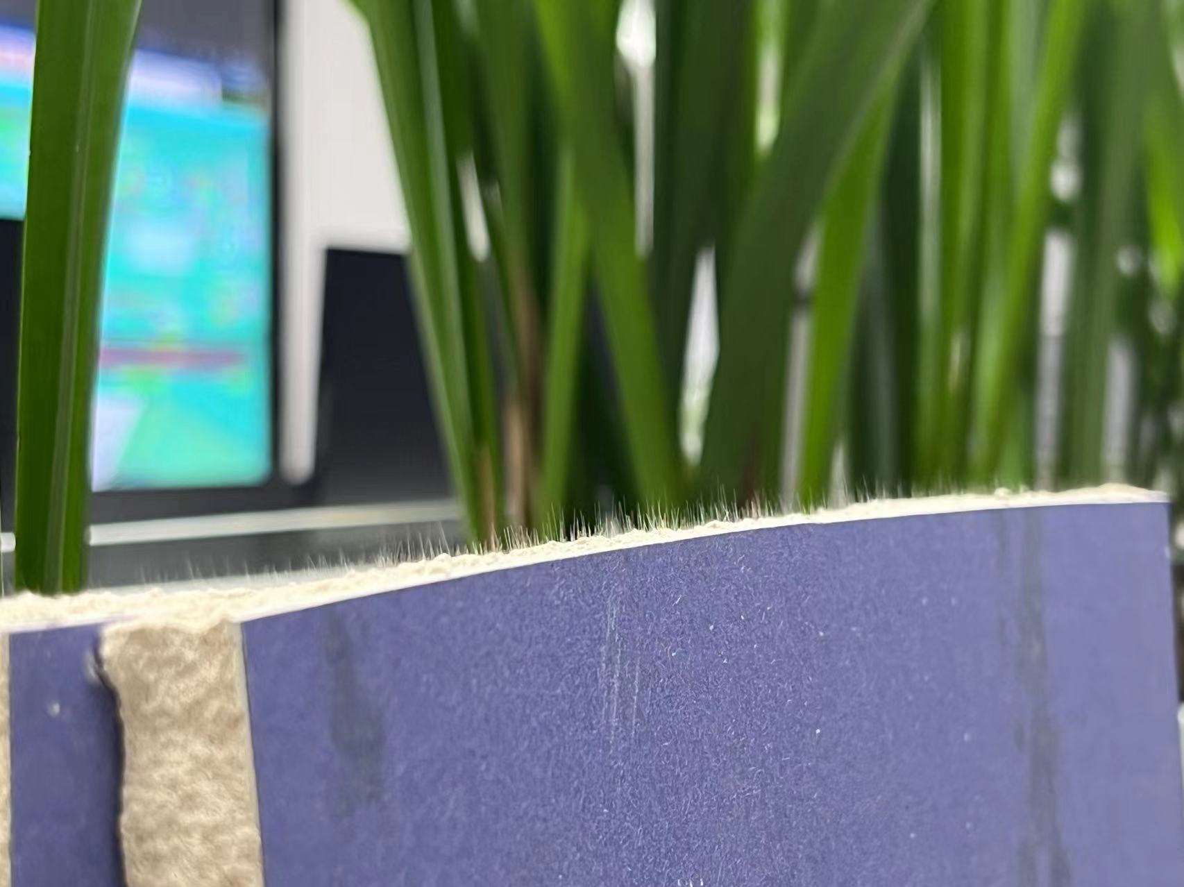 8-纖維絲 8-纖維絲